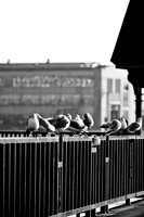 bay_city_images_2007-19