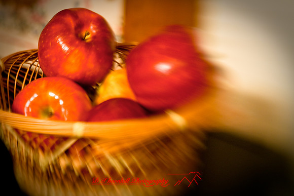 assorted_images-2008_33.jpg