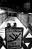 assorted_images-2007_116