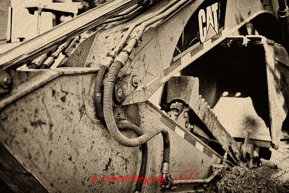 assorted_images-2011-172-nas