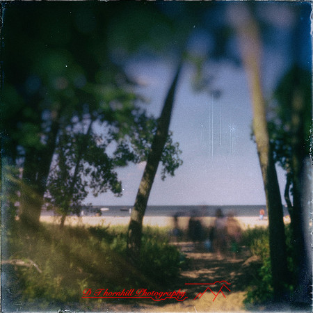 Bay City Stat Park - pinhole - 2022 - 002-nik-ps-ai