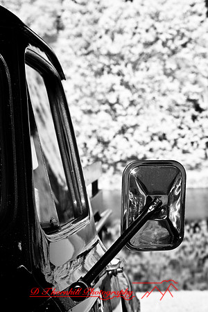 muth-car-show-infrared-2008_06