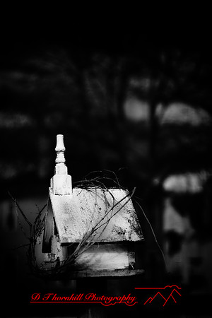 infrared-2009-random_08.jpg