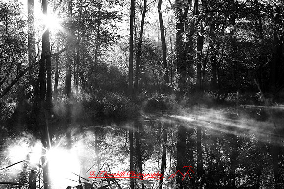 shiawasse-oct-2006_003
