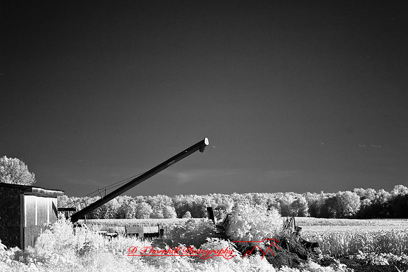 infrared-2008_099