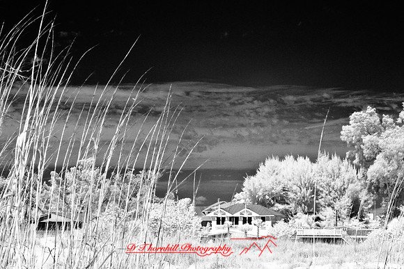 florida-2010-infrared-images_07-nik