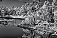 Infrared HDR
