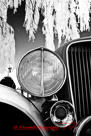 muth-car-show-infrared-2008_32