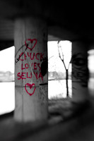 assorted_images-2009_63.jpg