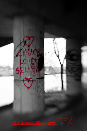 assorted_images-2009_63.jpg