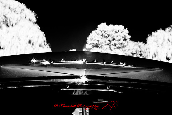 muth-car-show-infrared-2008_13