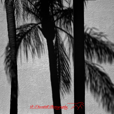 FL-March 2018-173_DxO
