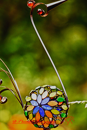 assorted_images-2011-151_HDR
