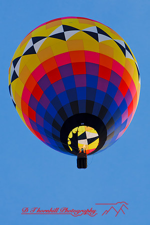 midland-balloon-2010_15-nik
