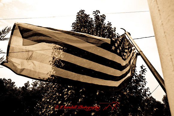 assorted_images-2007-64