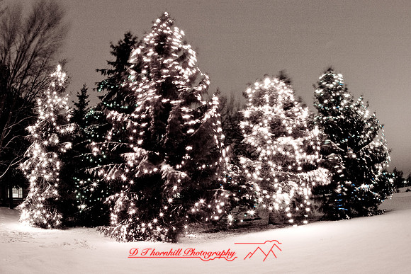 saginaw_christmas-2007-8