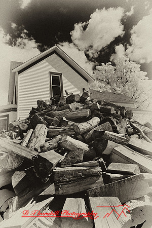 infrared-2009-the_farm_16-nik.jpg