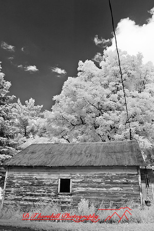 infrared_images-2012-015