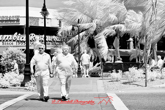 florida-2008-people-infrared_04.jpg