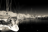 florida-infrared-images-2011-01
