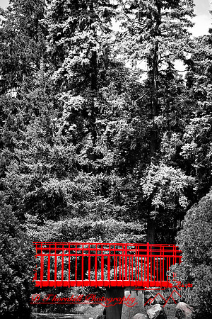 dow-gardens-2010_20