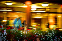 assorted-images-2010_074-nik