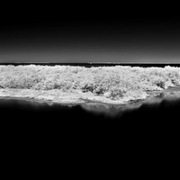 florida-2014-infrared-017