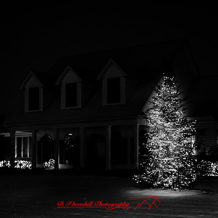 saginaw-christmas-2017-014