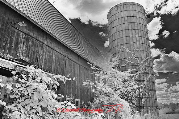 infrared_images-2012-010-nas