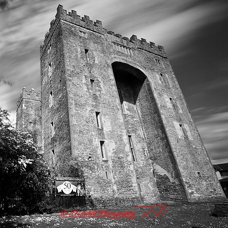 ireland-2013-476