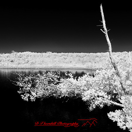 florida-2014-infrared-018
