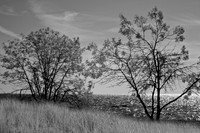 tawas-state-park-infrared-2008_001