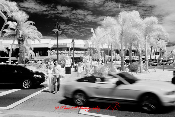 florida-2010-infrared-people_15