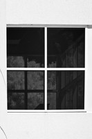 florida-infrared-images-2011-18