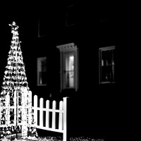 Saginaw-2019-christmas-003-n-l-as