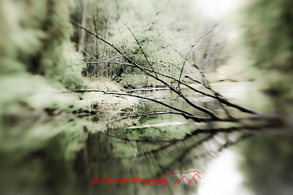 shiawassee-oct-2010_02