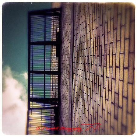 iPhones-2014-031