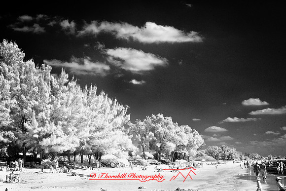 florida-2008-people-infrared_32-nik.jpg