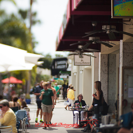florida-2013-images-126