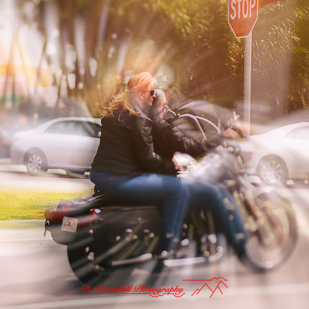 florida-2013-images-131-nas