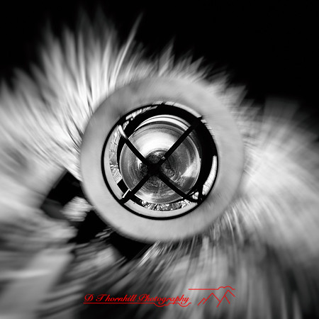 florida-nov-2014-infrared-015-nas