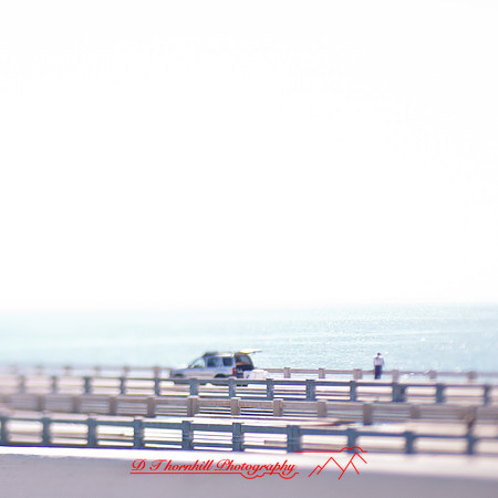 florida-2013-images041