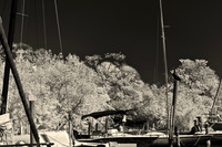 florida-infrared-images-2011-03-nas