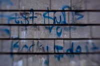 assorted_images-2009_58.jpg