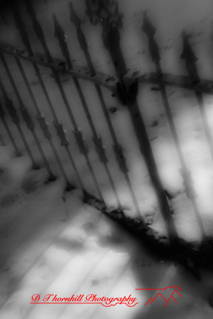 infrared_images-2011-001-nik