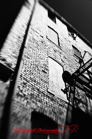 infrared-2009-architecture_48-nik.jpg