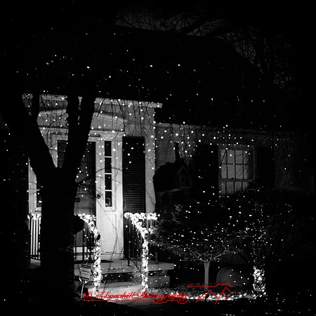 Saginaw-2019-christmas-005-n-l-as