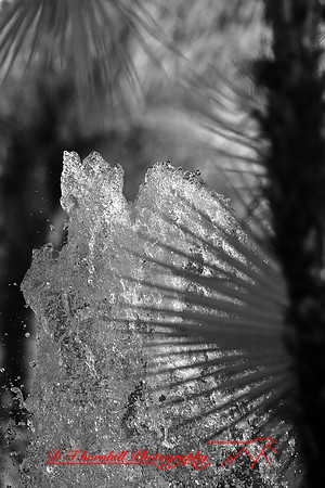 florida-2008-images-infrared_09.jpg
