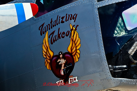 stearman-fly-in-2011-38-nas