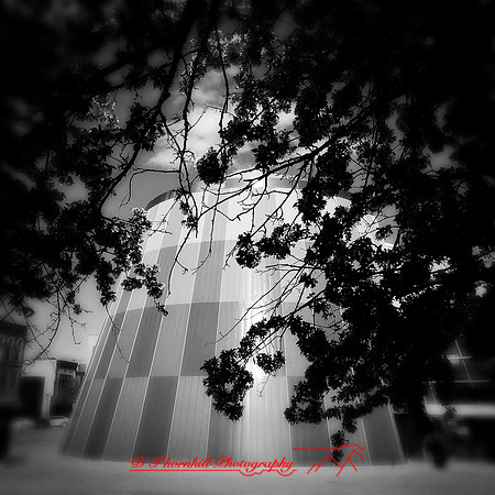 iPhones-2014-073